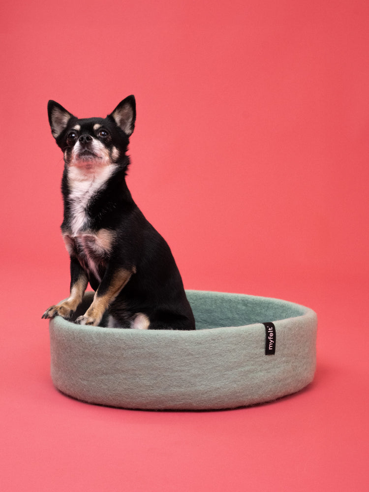 Cesta para perros fina