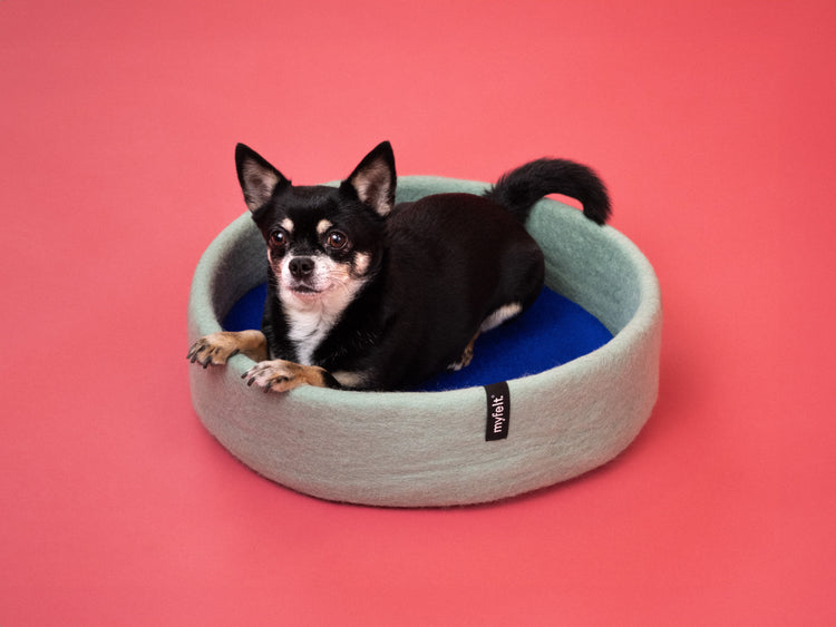 Cesta para perros fina