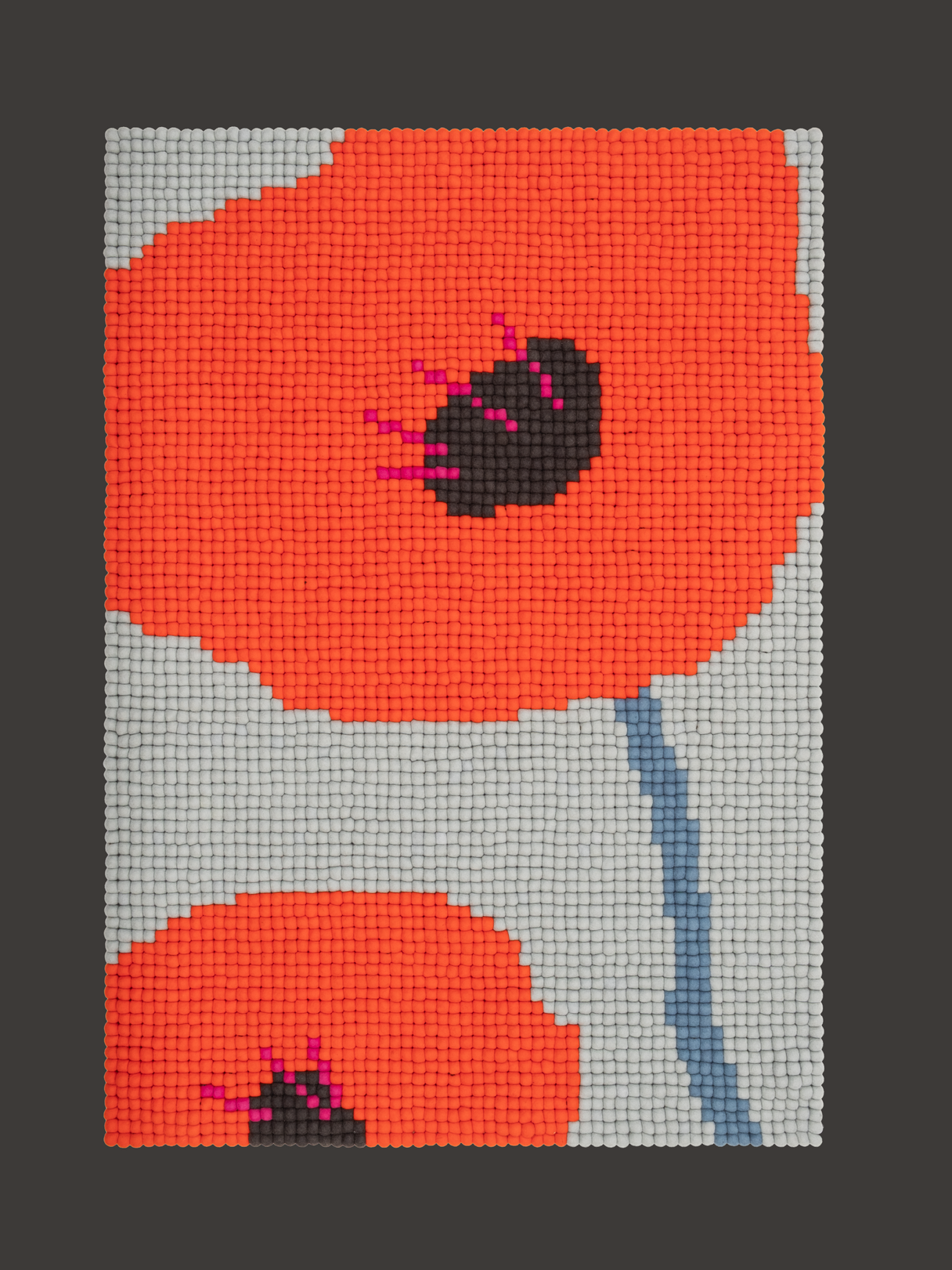 Flora