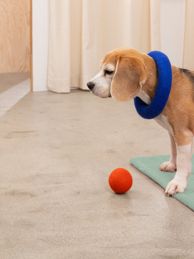 Juego de colchonetas y pelotas Marla